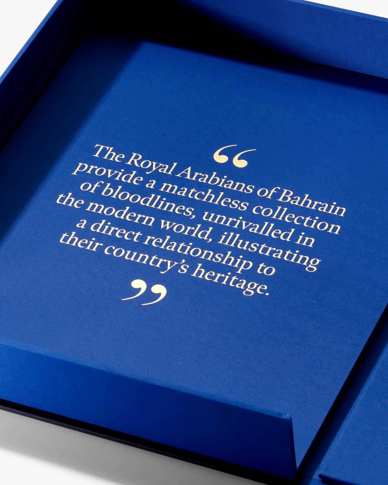 The Royal Stables of Bahrain: The Legacy of Arabian Horses