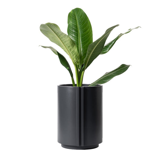 The cylinder small super gray